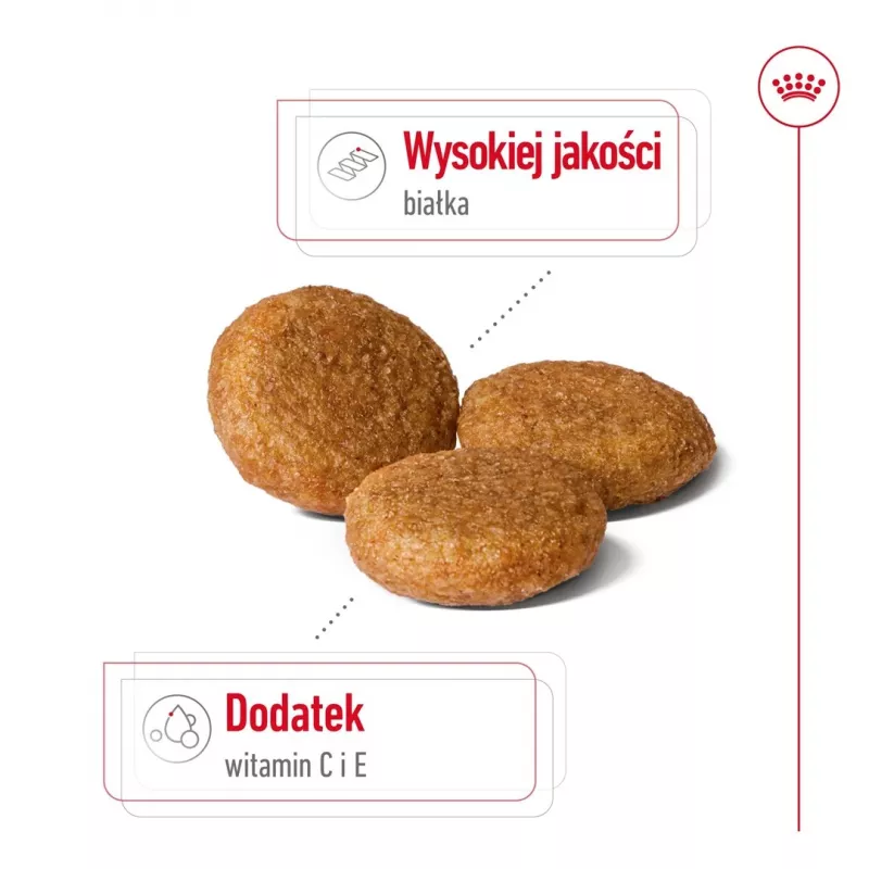 Royal Canin SHN Medium Adult sausas maistas šunims, 15 kg