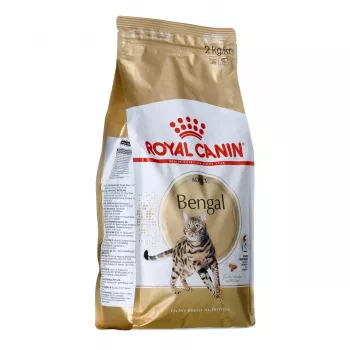 Sausas kačių ėdalas Royal Canin Bengal Adult 2 kg – paukštiena, 40% baltymų, 18% riebalų, virškinimo ir odos priežiūra