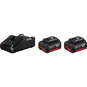 Bosch 1 600 A01 9S0 akumuliatoriaus ir įkroviklio rinkinys