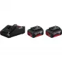 Bosch 1 600 A01 9S0 akumuliatoriaus ir įkroviklio rinkinys