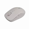 Canyon pelė MW-12 Dual band Wireless Beige - Pelė - 2400 dpi (CNS-CMSW12BG)
