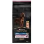 PURINA Sensitive Skin Large Athletic Adult Salmon - sausas ėdalas šunims - 14 kg
