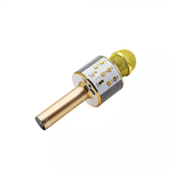 Mikrofonas MANTA MIC10-G auksinis kardioidinis nešiojamas