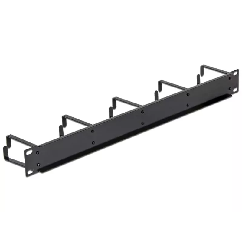 DeLOCK 42496 1U kabelių valdymo skydelis 19 inch