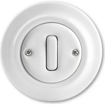 Busch Jaeger 1012-0-2160 Elektrinis jungiklis baltas (1012-0-2160)