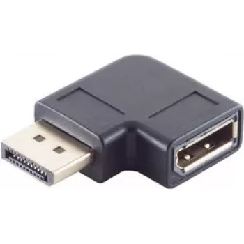 Lyties keitiklis DisplayPort ShiverPeaks BS10-78002