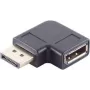Lyties keitiklis DisplayPort ShiverPeaks BS10-78002
