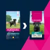 Sausas šunų maistas EUKANUBA suaugusiems didelių veislių vištiena 15 kg