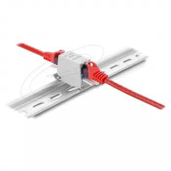 RJ45 jungtis DELOCK Cat.6A dviguba lizdas-lizdas, skirta montavimui ant DIN bėgio, pilka