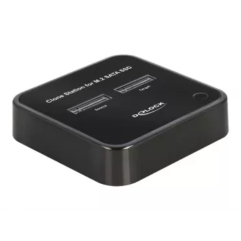 DeLOCK 64178 Docking Station USB 3.2 Gen 2 Type-C M.2 SATA SSD