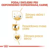 Royal Canin Cocker Adult 12 kg — sausas šunų ėdalas vištiena, 25% baltymų, 14% riebalų