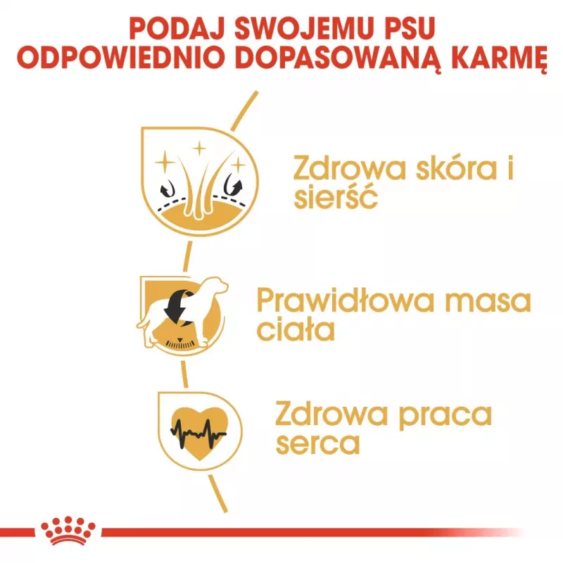 Royal Canin Cocker Adult 12 kg — sausas šunų ėdalas vištiena, 25% baltymų, 14% riebalų