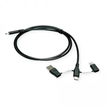 ROLINE USB 2.0 laidas, tipas C ST/ST su duomenų blokavimo adapteriais A ir C - Laidas - Skaitmeniniai/Duomenys