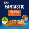 Felix Fantastic Chicken, Tomato – šlapias kačių ėdalas – 85 g