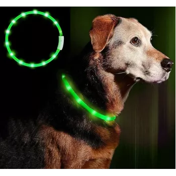 LED antkaklis Anicoll Green šunims ir katėms modelis įkraunamas apšvietimas