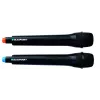 Blaupunkt System Audio PLL FM USB/SD/BT 2xKaraoke FULL LED PartyBox