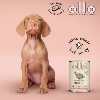 OLLO Puppy Pure Turkey – šlapias ėdalas šuniukams – 850 g