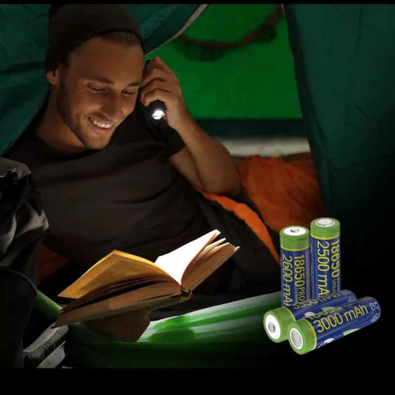GEMBIRD Li-ion akumuliatorius 18650 10C 3000mAh