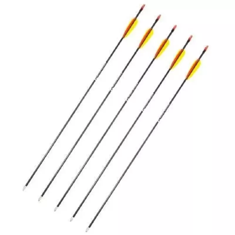 Strėlių rinkinys POE LANG D-055-B3 – stiklo pluošto strėlės, 710 mm, juodos, 5 vnt.