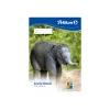 Meninis popieriaus bloknotas Pelikan 224840