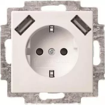 Busch-Jaeger SCHUKO lizdas su 2x USB 20 EUCB2USB-914 (2CKA002011A6266)