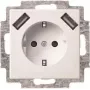 Busch-Jaeger SCHUKO lizdas su 2x USB 20 EUCB2USB-914 (2CKA002011A6266)