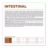 VET EXPERT Veterinary Diet Intestinal Dog sausas šunų ėdalas 12 kg