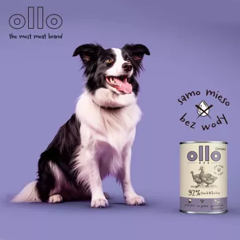 OLLO Umami Antiena ir kalakutiena šlapi šunų ėdalas 850g