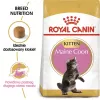 Sausas kačių ėdalas Royal Canin Maine Coon Kitten 2 kg – paukštiena, baltymai 36%, riebalai 23%