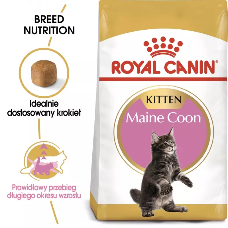 Sausas kačių ėdalas Royal Canin Maine Coon Kitten 2 kg – paukštiena, baltymai 36%, riebalai 23%