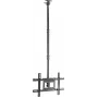 SpeaKa Professional SP-TVCM-540 TV lubinis laikiklis, reguliuojamas aukštis 94 cm, 37–203,2 cm (80 inch) (SP-13660960)