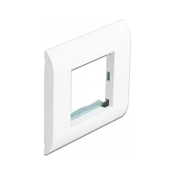 Modulio laikiklis DeLOCK Easy 45 80x80 mm baltas
