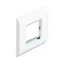 Modulio laikiklis DeLOCK Easy 45 80x80 mm baltas