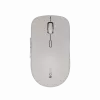 Canyon pelė MW-12 Dual band Wireless Beige - Pelė - 2400 dpi (CNS-CMSW12BG)