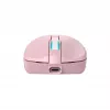 Belaidė pelė Baracuda BGM-124 Turtle Pink TURTLE-P