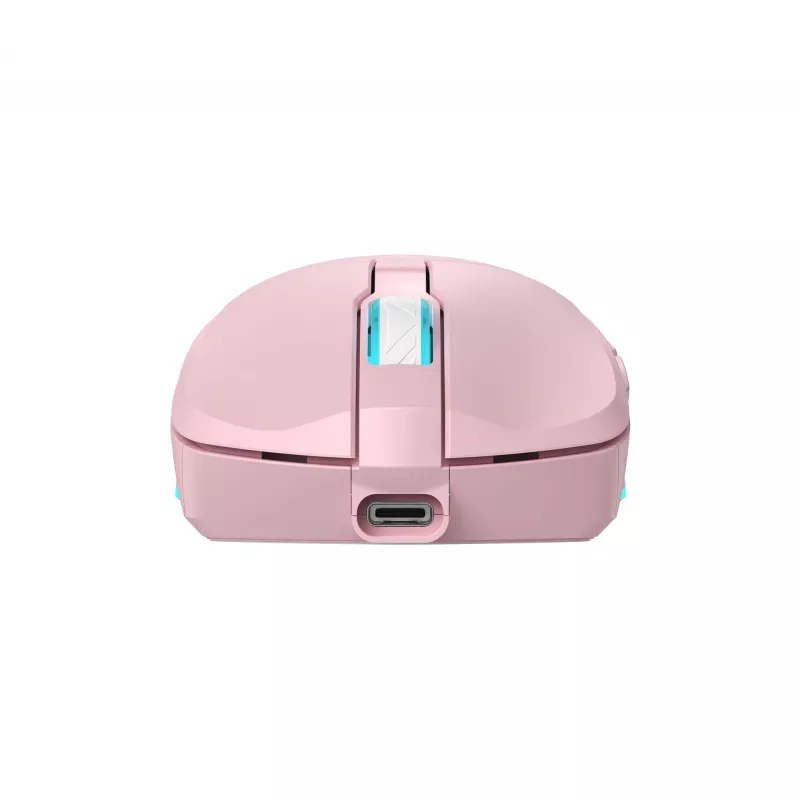 Belaidė pelė Baracuda BGM-124 Turtle Pink TURTLE-P