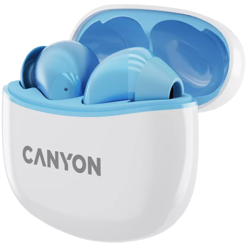 Canyon TWS-5 CNS-TWS5BL Belaidės ausinės – Tikras belaidis ryšys – Bluetooth 5.3 – Į ausį – USB-C įkrovimo dėklas – Liečiamas valdymas – Iki 38 h veikimo – Juodos