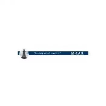 Mcab šarminė baterija Mignon 4 x AA LR6 (7002003)