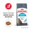 Royal Canin Urinary Care sausas kačių ėdalas suaugusiems Paukštiena 2 kg