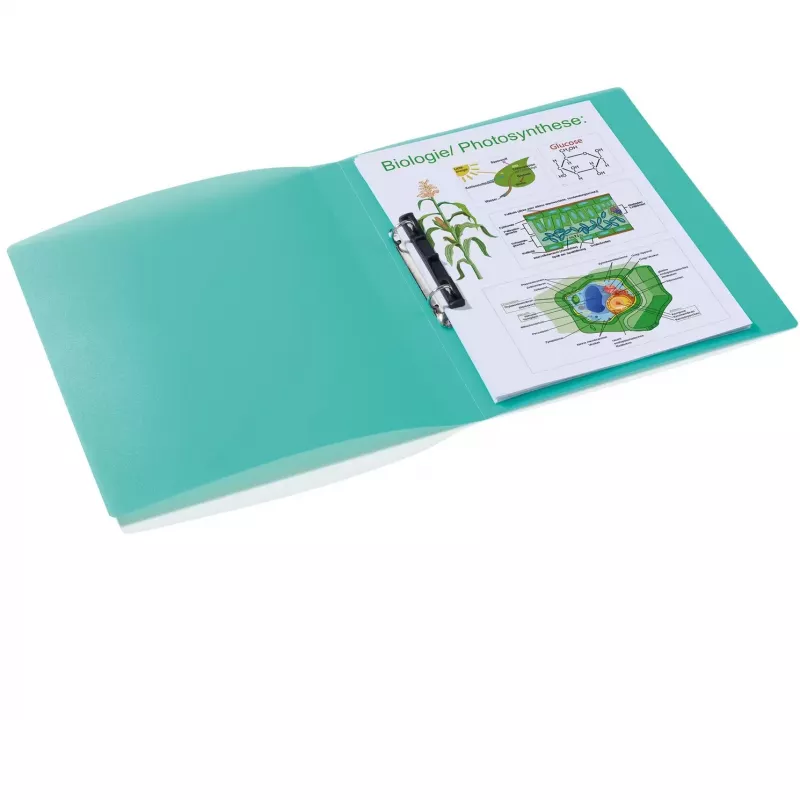 Segtuvas HERMA 19182 A4 Turquoise