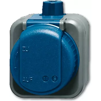 Busch-jaeger 2CKA002083A0343 Mėlynas