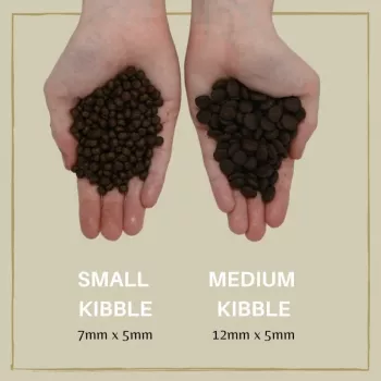 Sausas šunų ėdalas Eden Puppy Cuisine 80/20 Medium granulės 2 kg – šuniukų receptūra su lašiša, 40% baltymų, 17,5% riebalų