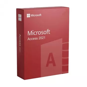 Microsoft Access 2021 licencija verslui