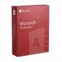 Microsoft Access 2021 licencija verslui