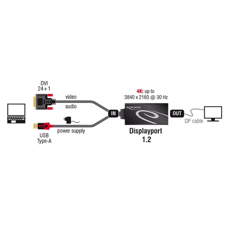 Adapterinis kabelis DVI 24+1 + USB-A / DisplayPort 20p DeLOCK 62596, 0,3 m