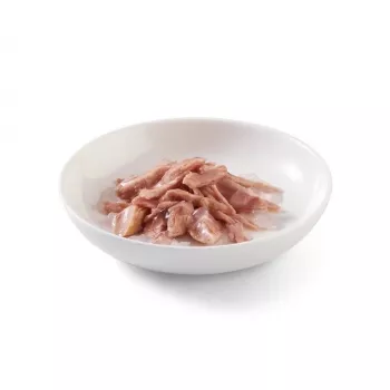 SCHESIR in jelly Tuna - šlapias kačių ėdalas - 85 g