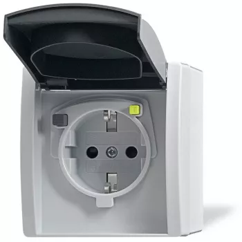 Busch-jaeger 2CKA003116A0664 Pilka