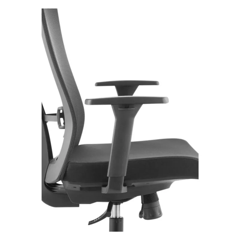 Ergonominė premium kėdė Ergo Officer ER-414