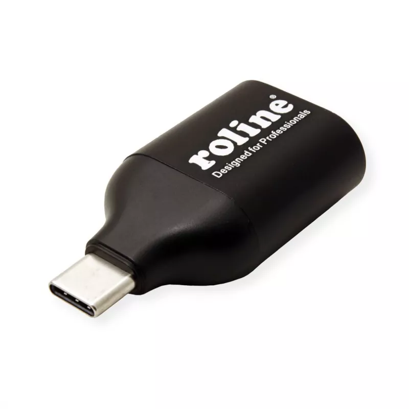 ROLINE 12.03.3228 USB vaizdo adapteris 1920 x 1080 pikselių juodas