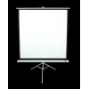 Stalinis projekcinis ekranas ant trikojo Elite Screens T113NWS1 2,87 m 1:1